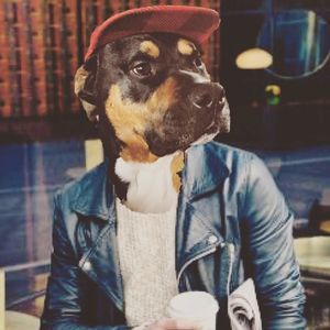 Meet your Posher, Jess